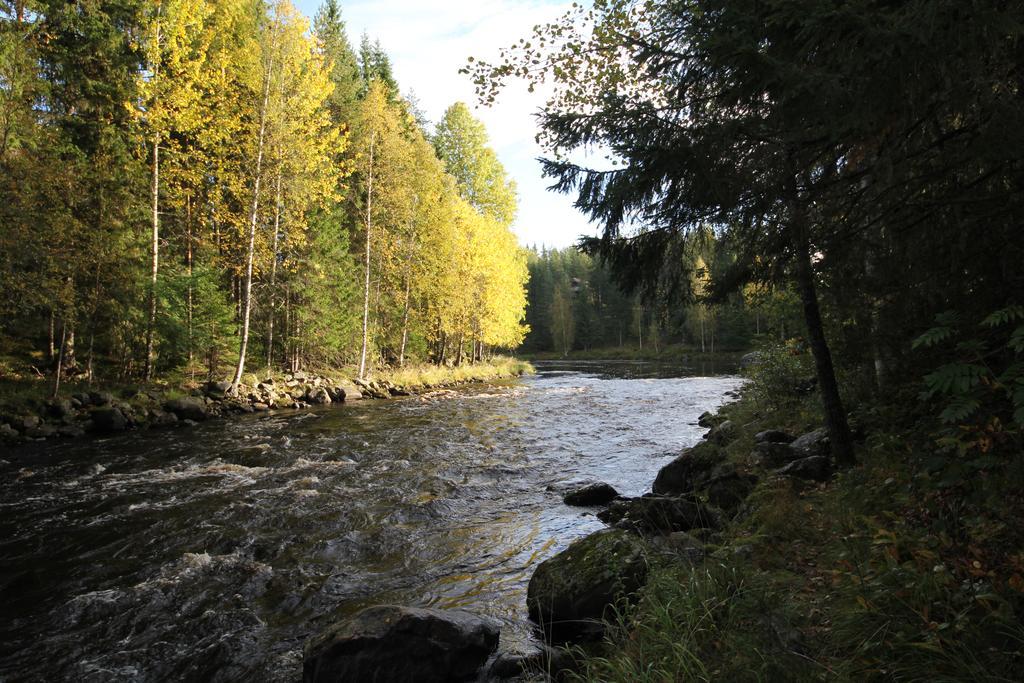 Keskikosken Lomamoekit Venajanjarvi Exterior photo